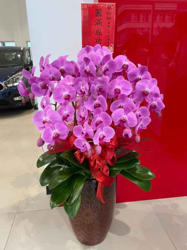 農場直出貨源，保證不使用回收花，：圖片 6