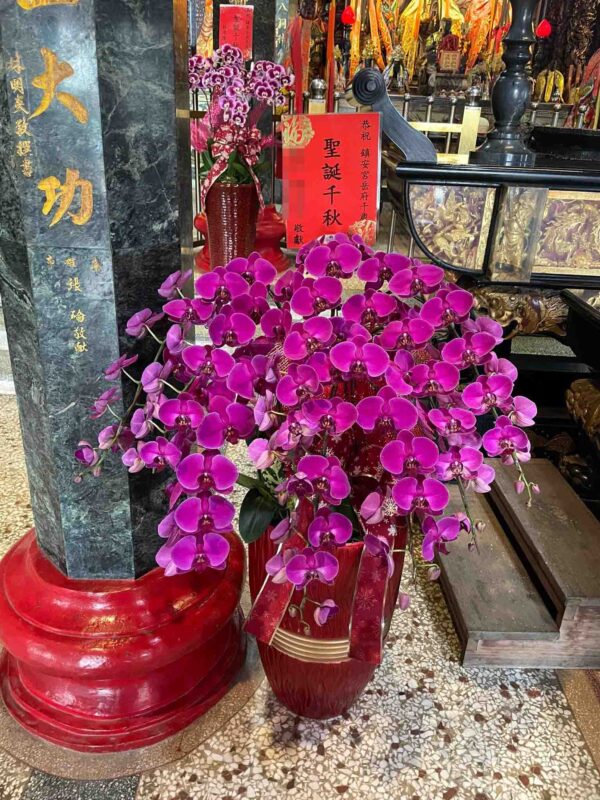 農場直出貨源，保證不使用回收花，