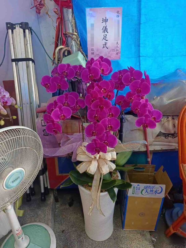 請先向客服詢問現貨顏色，再進行訂購。：圖片 4