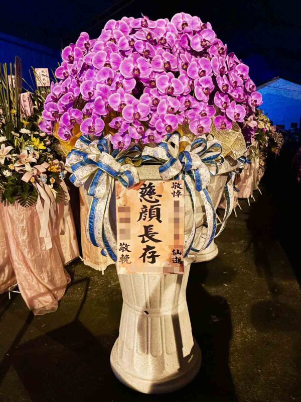 帝王水母蘭花｜喪禮蘭花（單盆一個）－高雄、台南、屏東蘭花推薦：圖片 2