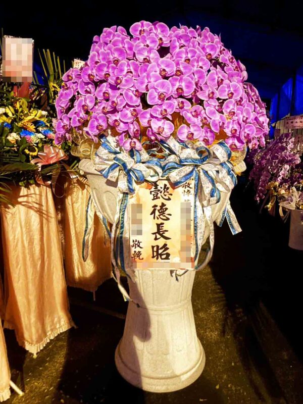 帝王水母蘭花｜喪禮蘭花（單盆一個）－高雄、台南、屏東蘭花推薦：圖片 4