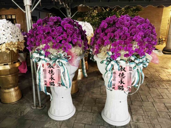 帝王水母蘭花｜喪禮蘭花（單盆一個）－高雄、台南、屏東蘭花推薦：圖片 3