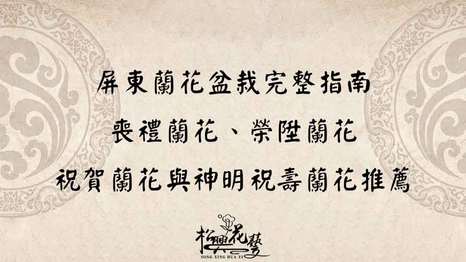 屏東蘭花盆栽完整指南｜喪禮蘭花、榮陞蘭花、祝賀蘭花與神明祝壽蘭花推薦
