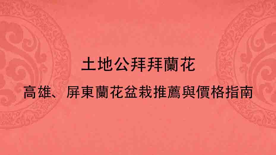 土地公拜拜蘭花｜高雄、屏東蘭花盆栽推薦與價格指南