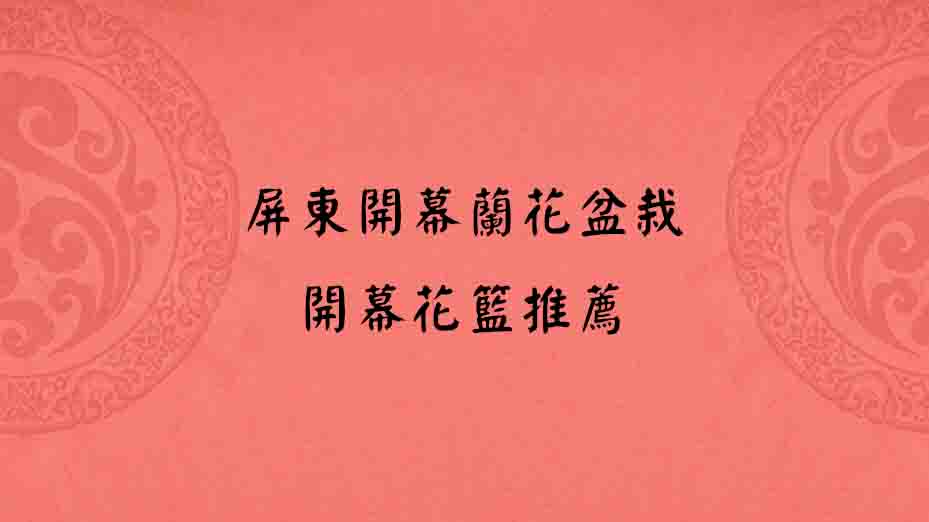 屏東開幕蘭花盆栽
開幕花籃推薦