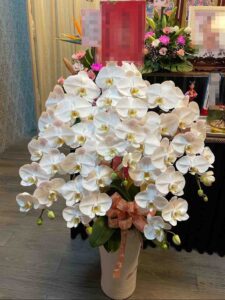 蘭花3