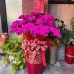 蘭花4