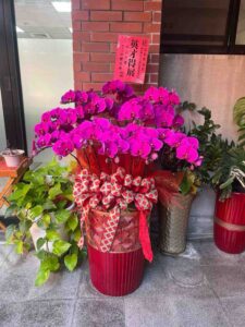 蘭花4