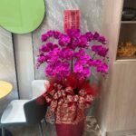 蘭花5