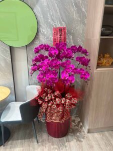 蘭花5